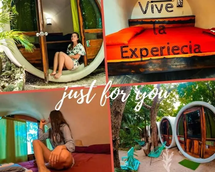 Hostal Mulut Tulum Maison d'hôtes